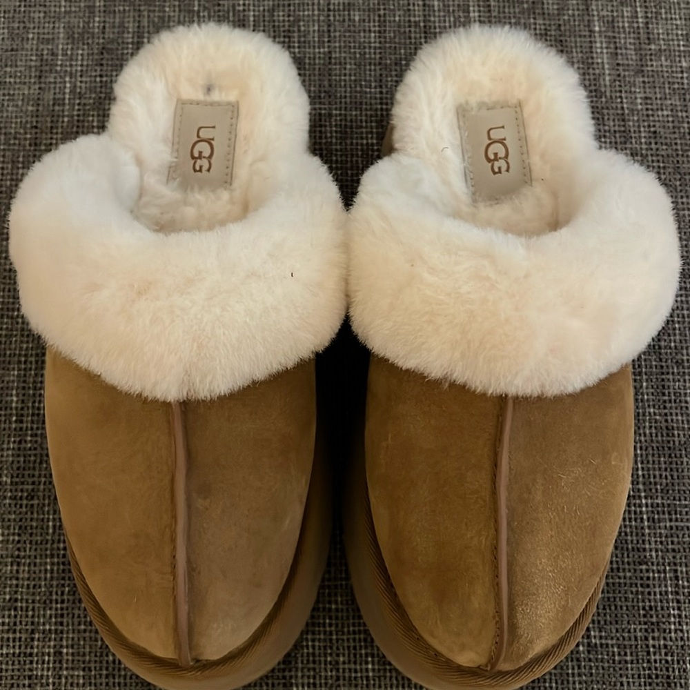 Platform Disquette Ugg slippers